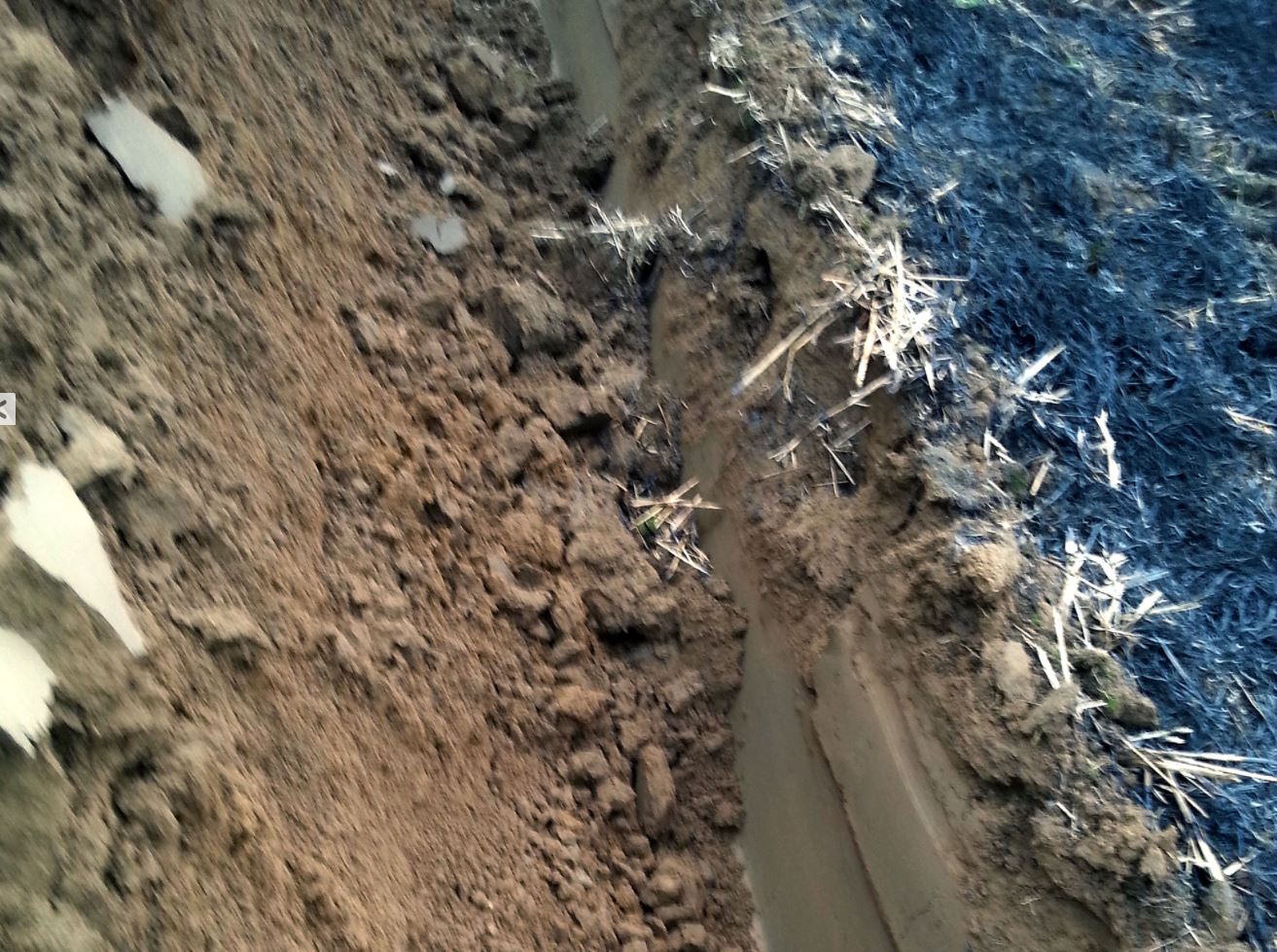 Rigolovanje zemljista